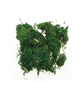 Мъх за декорация 50g