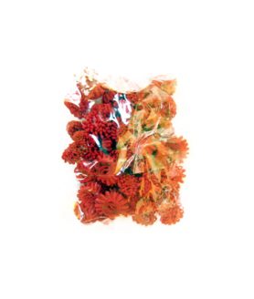 Шапчици за декорация 10 mm